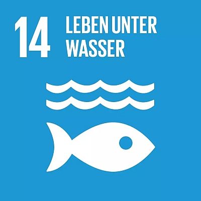 Symbol für Ziel 14: Leben unter Wasser, mit Fisch und Wellen auf blauem Hintergrund. Symbol für Ziel 14: Leben unter Wasser, mit Fisch und Wellen auf blauem Hintergrund.